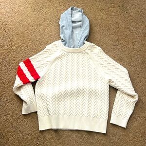 Central Park West sweater sold by Anthropology. Cream sweater with grey hood.